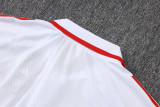 25-26 Bayern High Quality Polo Tracksuit