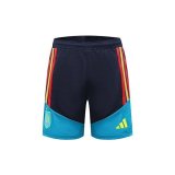 26-27 World Cup  Spain blue Training suit Daily Training Edition
