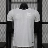 2026 Norway Third  Away  Player Version Soccer Jersey