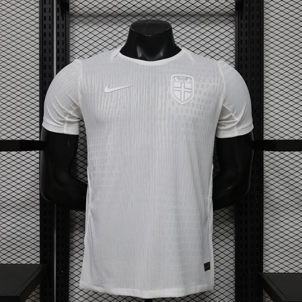 2026 Norway Third  Away  Player Version Soccer Jersey