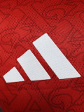 25-26 ARS Home Long Sleeve Player Version Soccer Jersey (长袖球员)