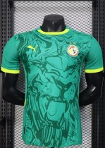 24-25 Senegal Away Player Version Soccer Jersey*两颗星 24-25 Senegal Away Player Version Soccer Jersey*两颗星