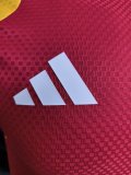 2026 Germany Red Player Version Training shirts