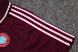 25-26 Bayern High Quality Polo Tracksuit