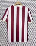 25-26 Nurnberg 125th Anniversary Edition Fans Soccer Jersey