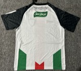 25-26 Palestine Home Fans Soccer Jersey
