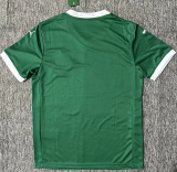 25-26 Palmeiras Home Fans Soccer Jersey