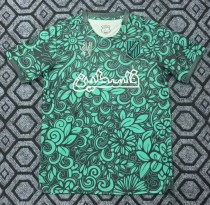 25-26 Palestine Green Special Edition Fans Soccer Jersey