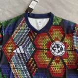 25-26 Club America Purple Green Training Shirts