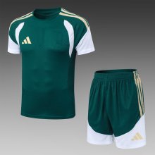 2026 AD Green High Quality Player Version Training Short Suit (球员套装)
