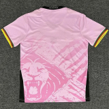 25-26 Cameroon Pink Fans Soccer Jersey
