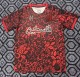25-26 Palestine Special Edition Fans Soccer Jersey