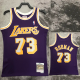 1998-99 LAKERS ROOMAN #73 Purple Retro Top Quality Hot Pressing NBA Jersey(圆领）