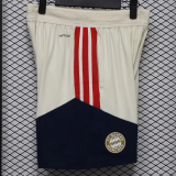 26-27 Bayern Khaki Player Version Training Shorts Pants(球员短裤)