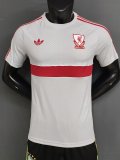 26-27 LIV Grey Player Version Training Shirts