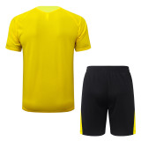 26-27 Dortmund High Quality Training Short Suit