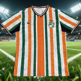 26-27 Cote d'Ivoire Orange Green Special Edition Fans Training shirts