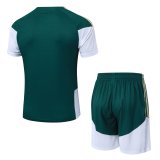 2026 Italy Green High Quality Player Version Training Short Suit (球员套装)