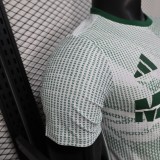 2026 Mexico World Cup Culture Promotion Green Player Version Training shirts