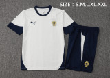 24-25 Portugal High Quality Training Short Suit