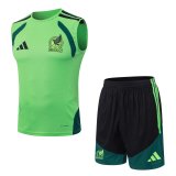 2026 Mexico Green High Quality Player Version Tank Top And Shorts Suit (球员套装)