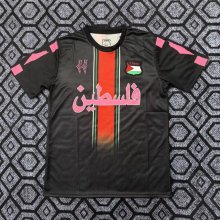 25-26 Palestine Special Edition Fans Soccer Jersey