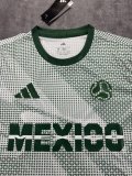 2026 Mexico World Cup Culture Promotion Green Fans Training shirts