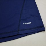 2010 Spain Away Royal Blue Retro Soccer Jersey(带胸前决赛字)