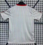 25-26 Benfica White Special Edition Fans Soccer Jersey