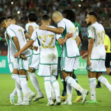 22-23 Algeria Home Player Version Soccer Jersey