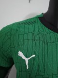 25-26 Cote d'Ivoire Green Special Edition Player Version Soccer Jersey