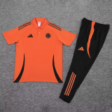 25-26 Colombia High Quality Polo Tracksuit