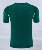 26-27 ARS Green Player Version Training shirts