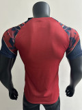 25-26 Man Utd Red Black Player Version Training shirts (蛇纹)