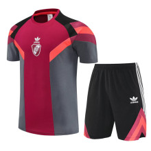 25-26 River Plate Red grey Training Short Suit