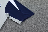 25-26 INT Light gray Training Short Suit