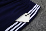 2025 AD Fancy blue Jacket Tracksuit #2315