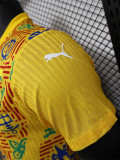 24-25 Ghana Yellow Player Version Training shirts