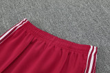 25-26 Bayern Jujube red Jacket Tracksuit