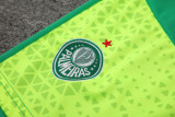24-25 Palmeiras Fluorescent green Tank top and shorts suit