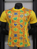 24-25 Ghana Yellow Player Version Training shirts