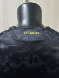 25-26 Mexico Special Edition Player Version Training Shirts (鹰与蛇)