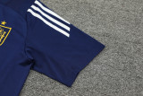 24-25 Spain Royal blue Training Short Suit