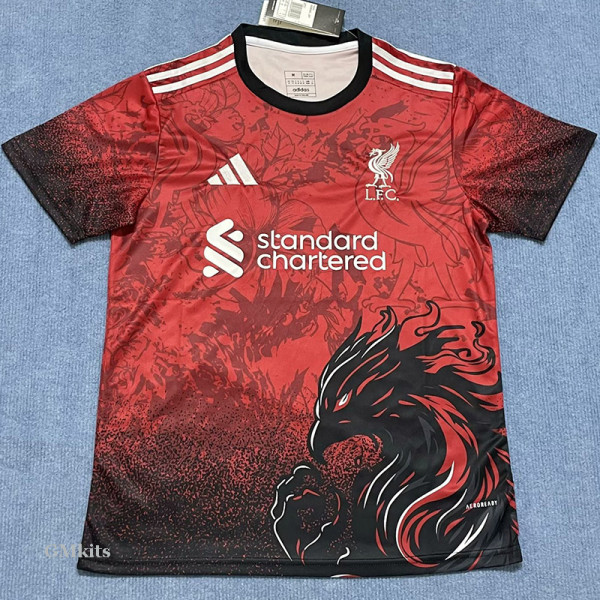 25-26 LIV Red Special Edition Fans Training shirts