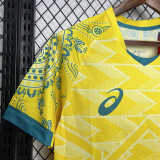 24-25 Australia Yellow Concept Edition Fans Soccer Jersey