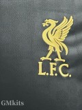 25-26 LIV Black Special Edition Player Version Training Shirts *金边
