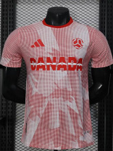 2026 Canada World Cup Culture Promotion Red Player Version Training shirts