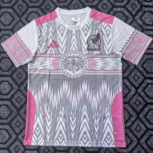 25-26 Mexico Pink Grey Special EditionTraining Shirts