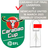 24-25 Newcastle Home 1:1 Fans Soccer Jersey