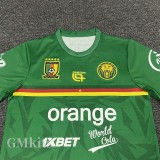 25-26 Cameroon Green Training shirts